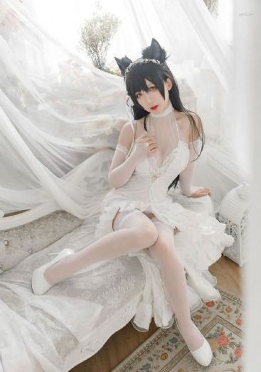 菠萝蜜视频在线观看无码入口_蓝光高清在线观看